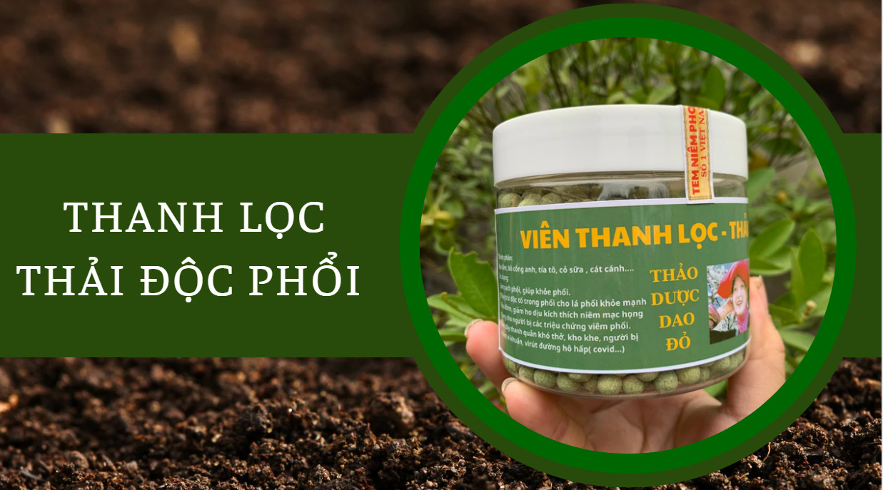 thảo dược thanh lọc, thải độc phổi